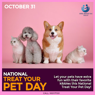 Celebrating National Treat Your Pet Day with Love & Compassion